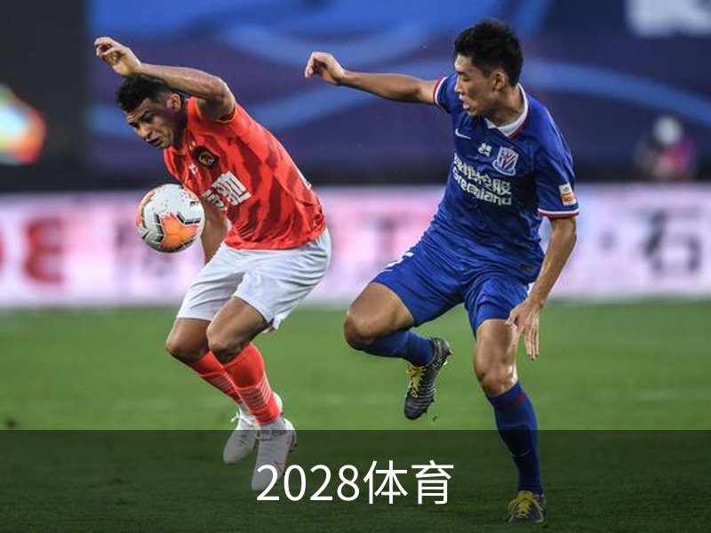 了解2028体育